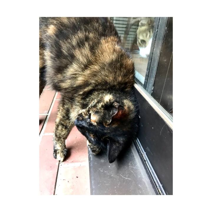 3b68813e acaf 4aba b27e da62cfa1c15b 1657245451972