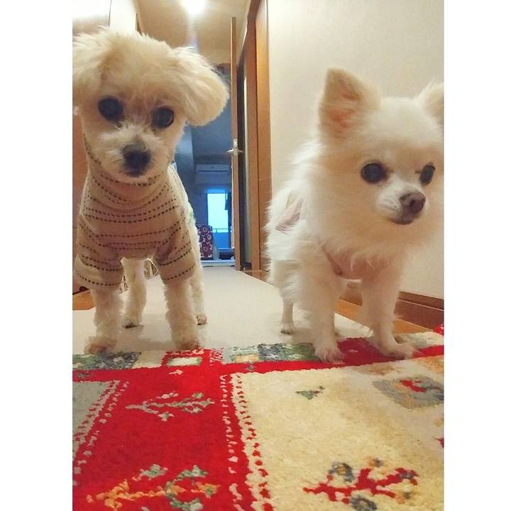 3b68fbab 2f24 426c 98c3 b36a287ff75d 1665311848618