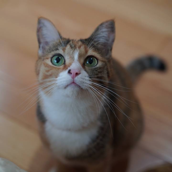 3b6910ee 4c6b 497a 9136 91233abd6878 1631629715810