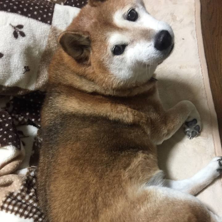 3b693461 01b4 48e1 9469 da578b6f802d 1540903725445