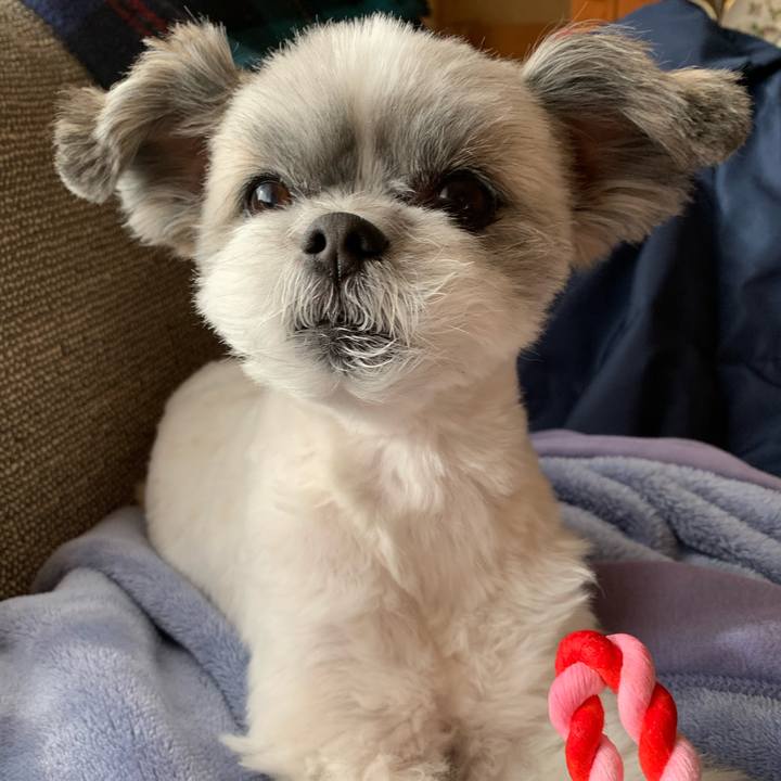 3b697d9f 706a 4272 ac8a fbe7370a3f77 1610060902146