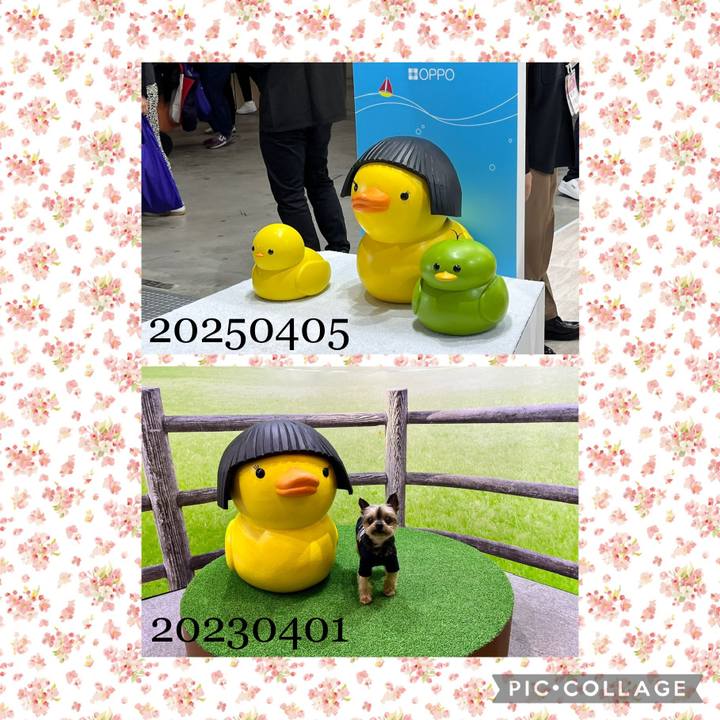 3b699fd6 83ed 417f baa2 7a9146b4b3ff 1743847515924