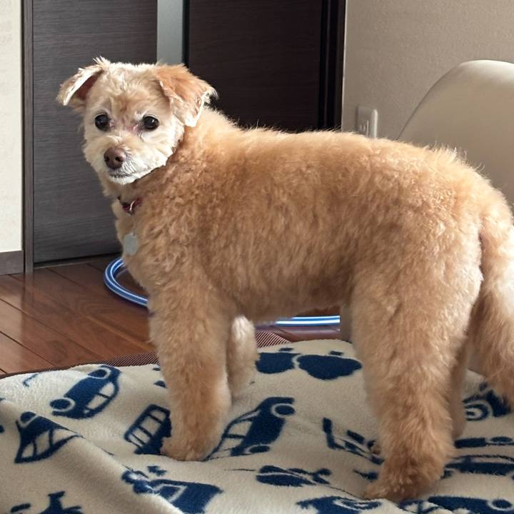 3b69aaa8 6ab1 4439 8736 35e0adbc4c0d 1736221716688