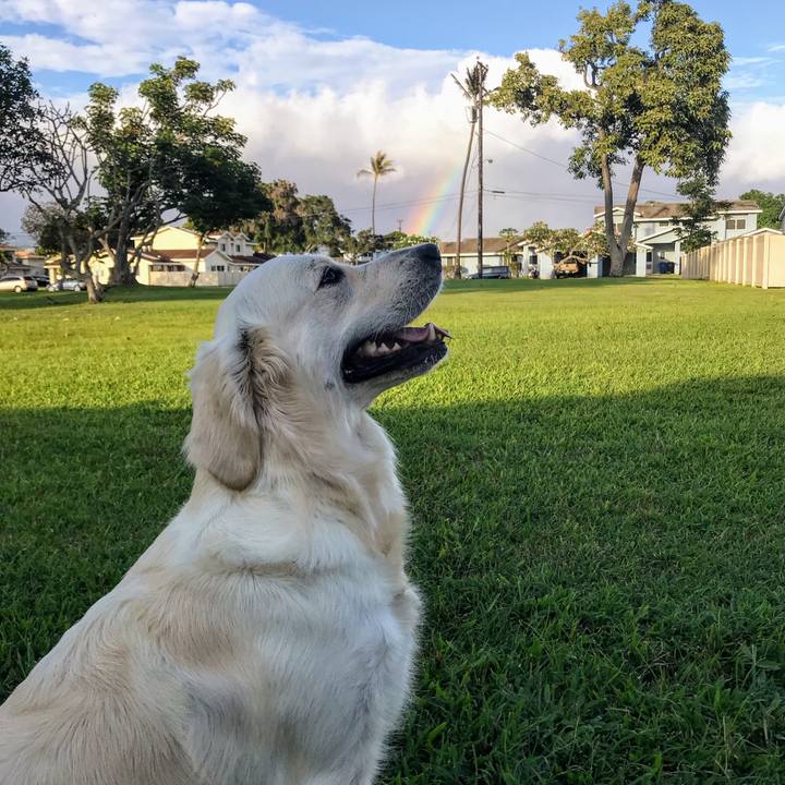 3b69ae99 e177 4dc1 b552 55a8e7fcc560 1525845105184