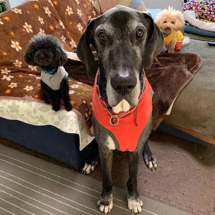 3b69c2f2 07dc 4af9 8c04 90735a8837c1 1611095834778