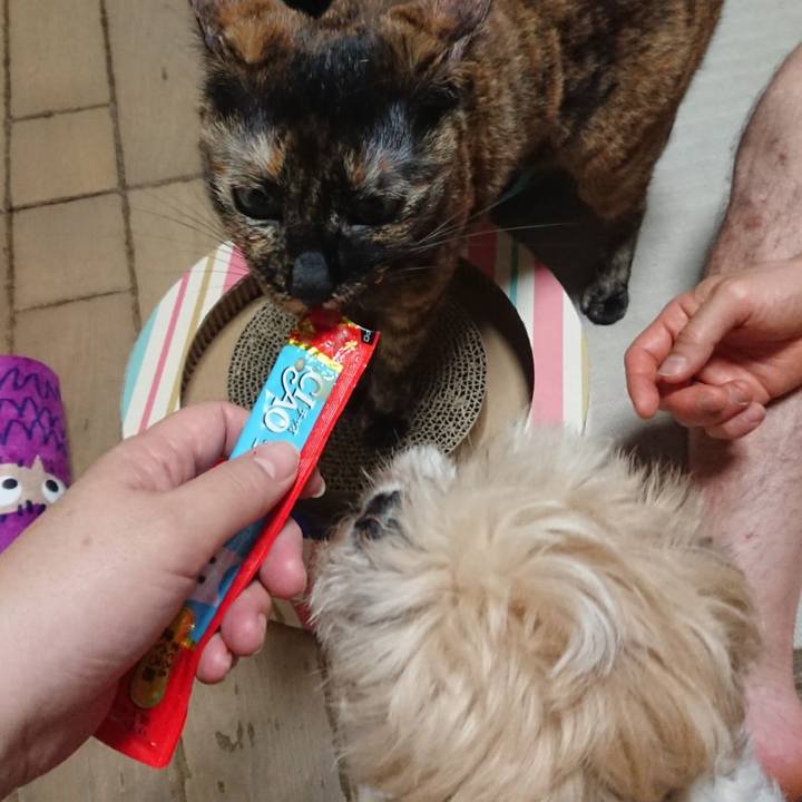 3b6a1fa6 d8c9 4975 8c65 f64ada6ccdd1 1568780028857