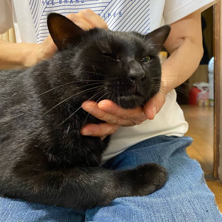 3b6a3bdb 65ce 4fe5 8541 9bcd78c17283 1628727109603