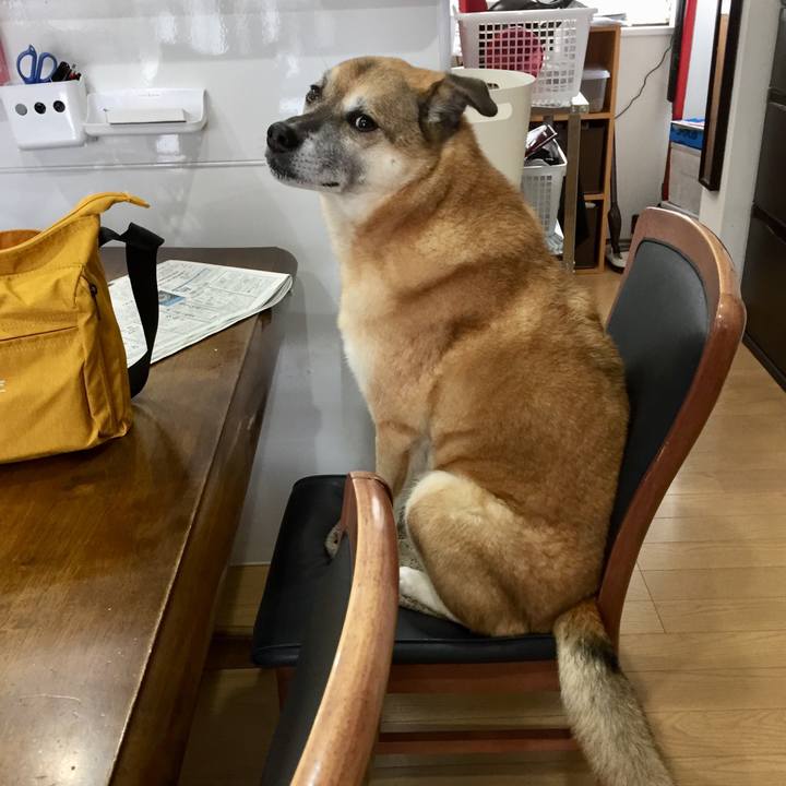 3b6a3f3d ff8c 4373 b10d 1f0635d76458 1576639131900