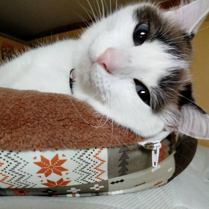 3b6a4ef7 4928 4367 b386 e08d6eb926a5 1679756553179