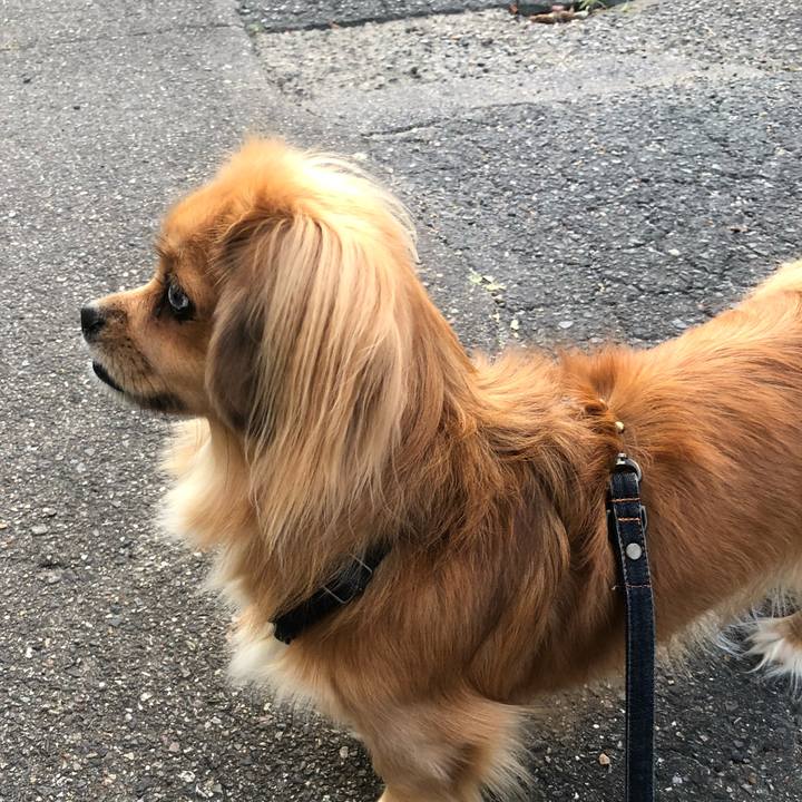 3b6a901f 5feb 49c0 aba6 7d3fafa507ac 1537307795466