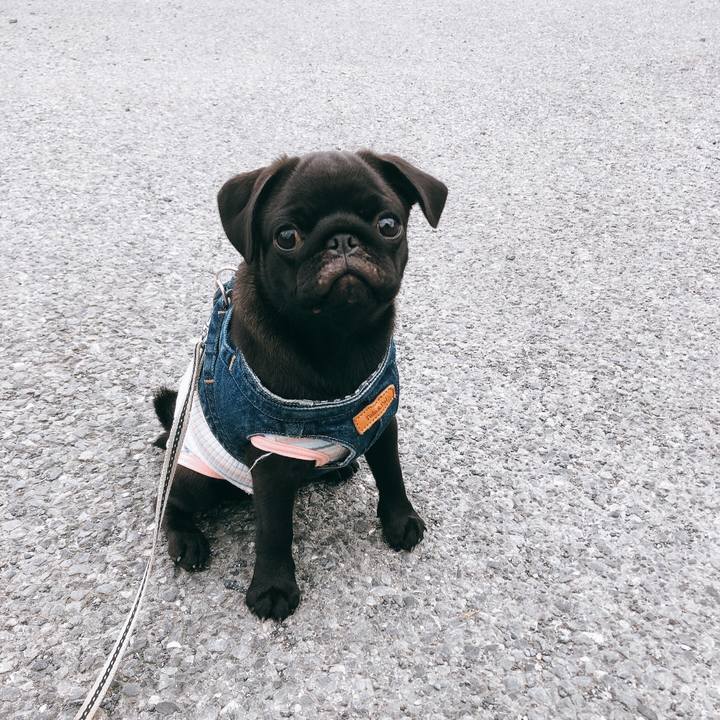 3b6ab3b2 1b3e 4b2e b19f 64f8b8913d3a 1592641633712