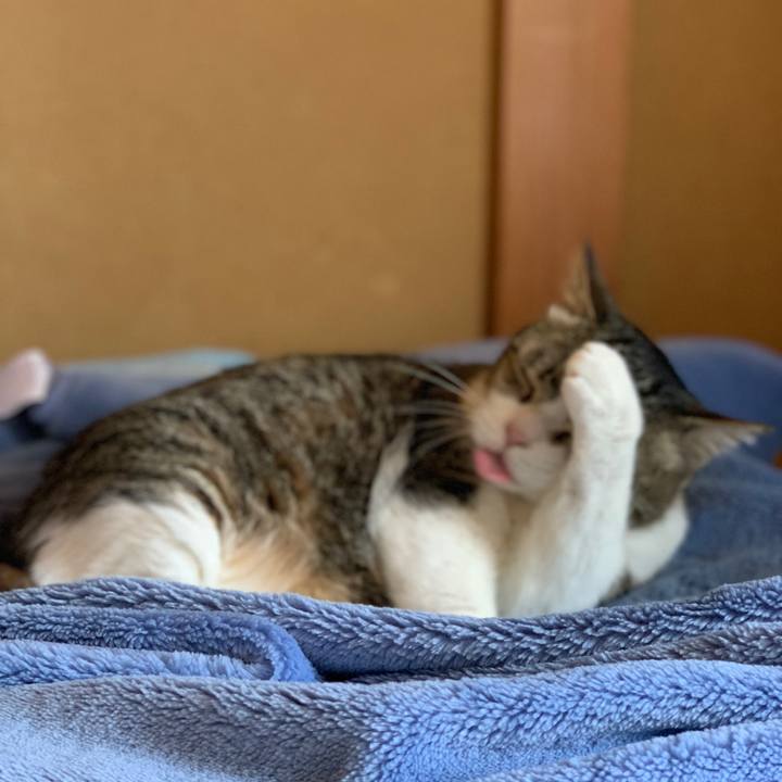 3b6ac7ad eab0 475f a437 3923d6a03175 1623111236175