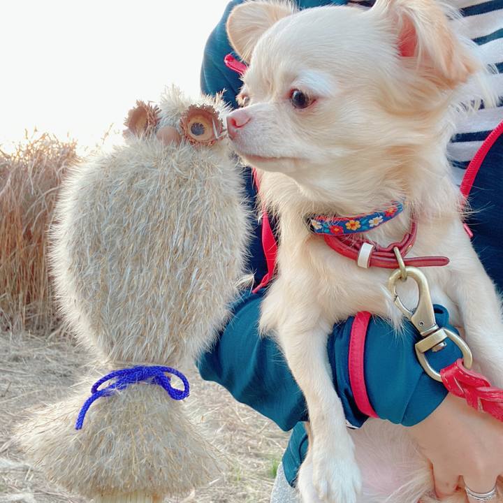 3b6ad0b8 2ad4 4f0a a059 7b177f6986f1 1637143229980