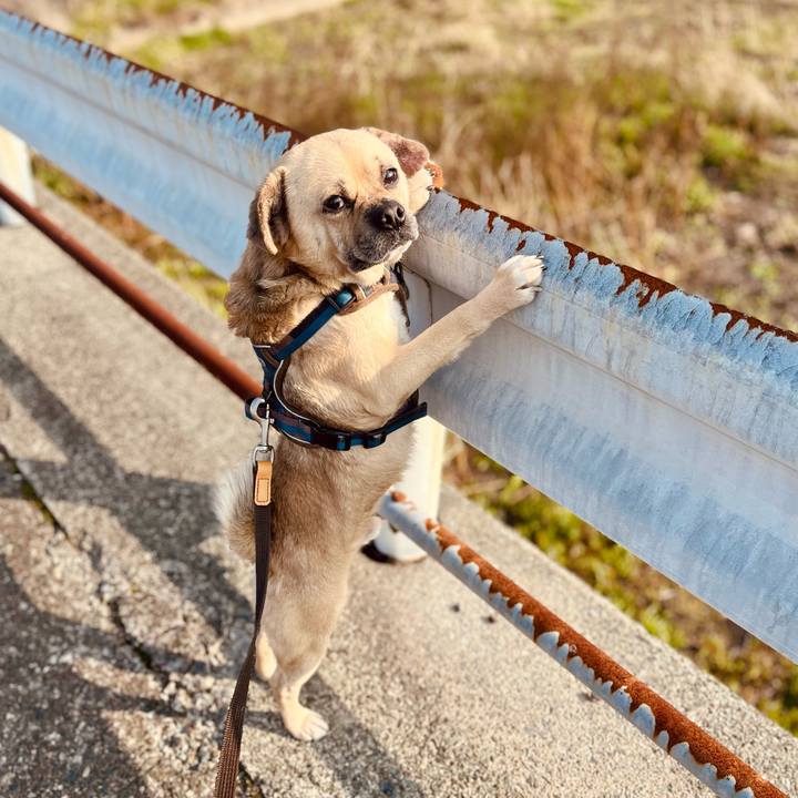 3b6afb3f f0bd 4a36 9b01 b99e364b3cb1 1773301697131