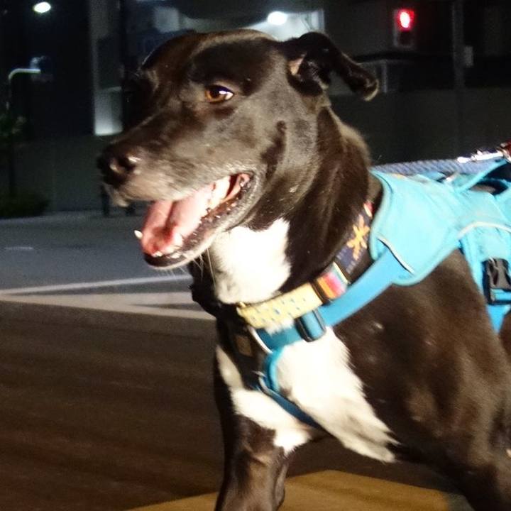 3b6b0481 9788 42b5 bb3d afc914e2d1ad 1634468676659