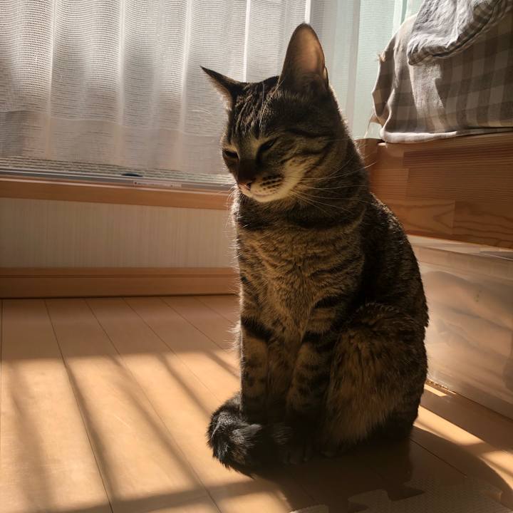 3b6b2cba 41c0 49d7 bb95 51cc8317f7f3 1552161507014