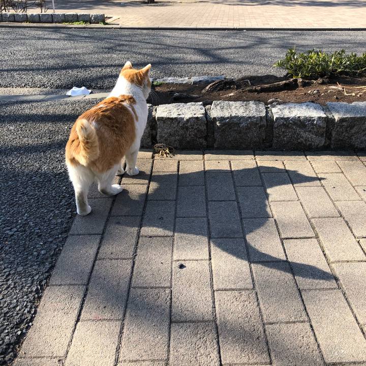 3b6b37a7 2163 4600 abb1 c0292d836855 1614438203941