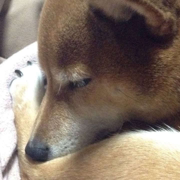 3b6b9372 a2cf 4b81 9565 313c7d220274 1513762588685