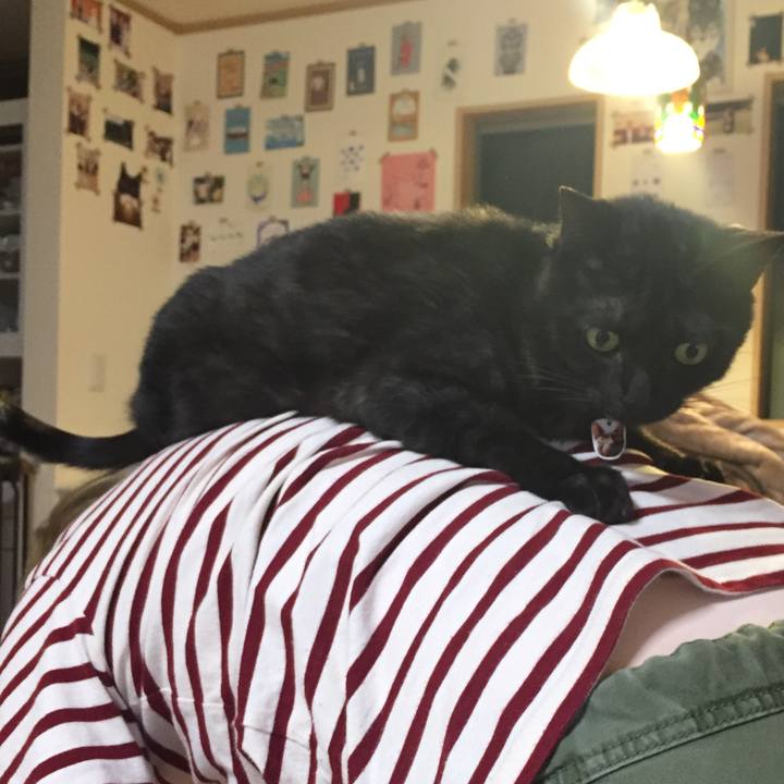 3b6bb963 489b 4224 b69f 369eaaa44e7e 1558019230836