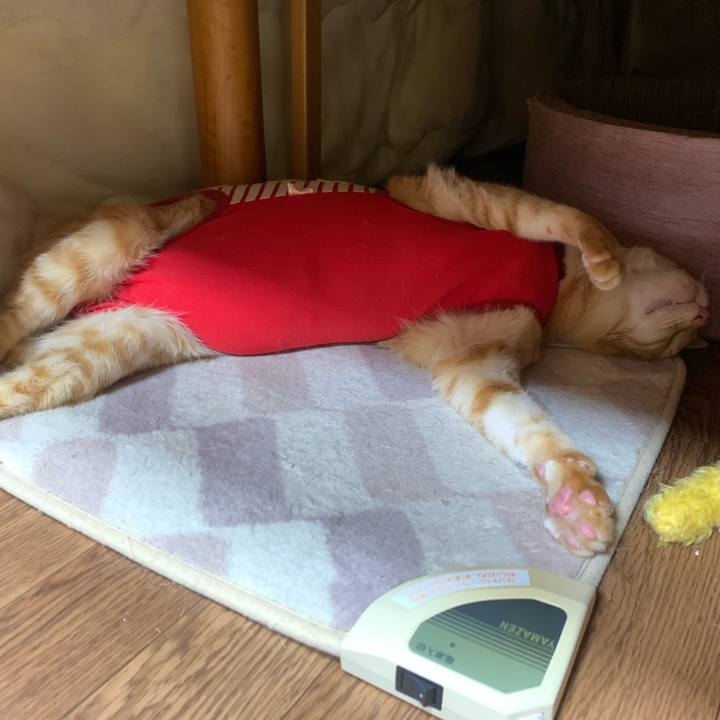 3b6bce88 9c2f 4668 b864 54d570fe712d 1579434542209