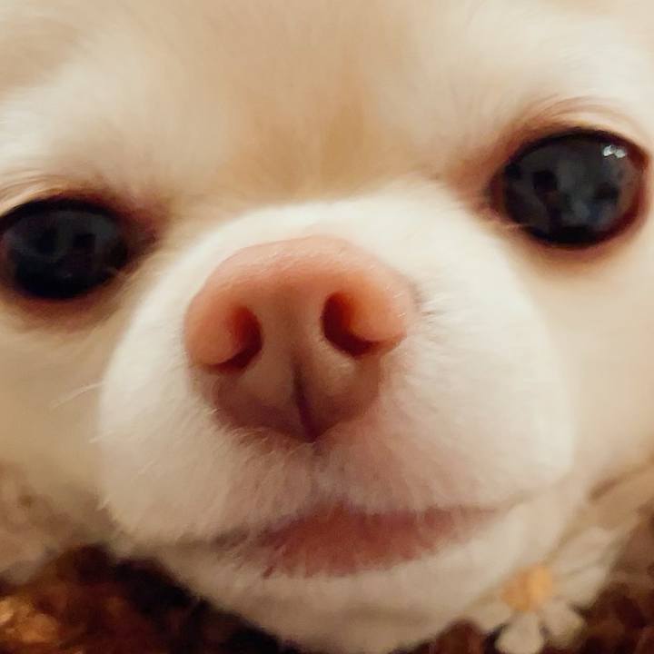 3b6be41b 63d7 4104 a209 3b40edf42aec 1702511243271