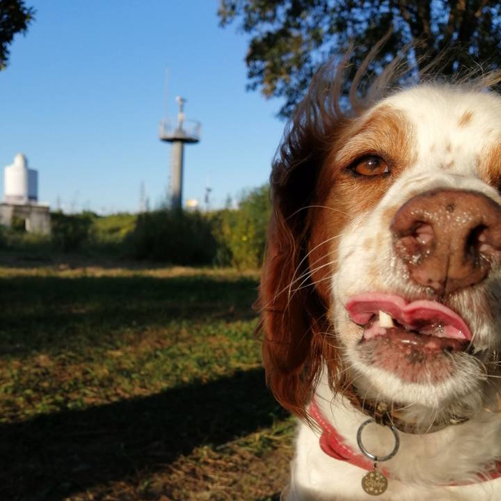 3b6bf9fd 37e6 4dc7 92d0 e30552fc83d4 1633519628710