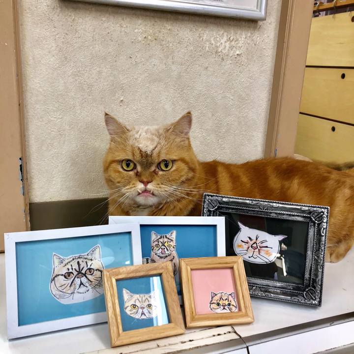 3b6c0791 d68e 48e7 894f 362d5a55d7b0 1536307458835