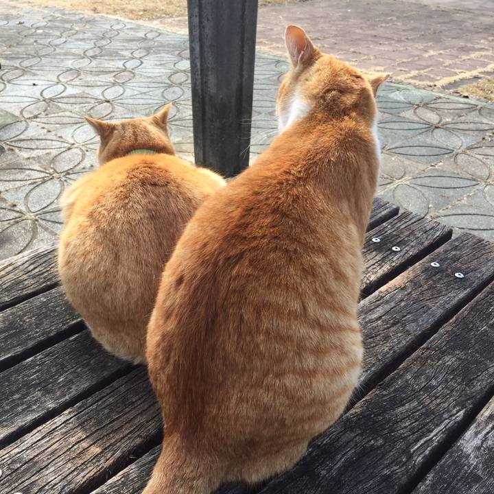 3b6c09fd 769a 4fec 8d76 999277602d0b 1518247915102