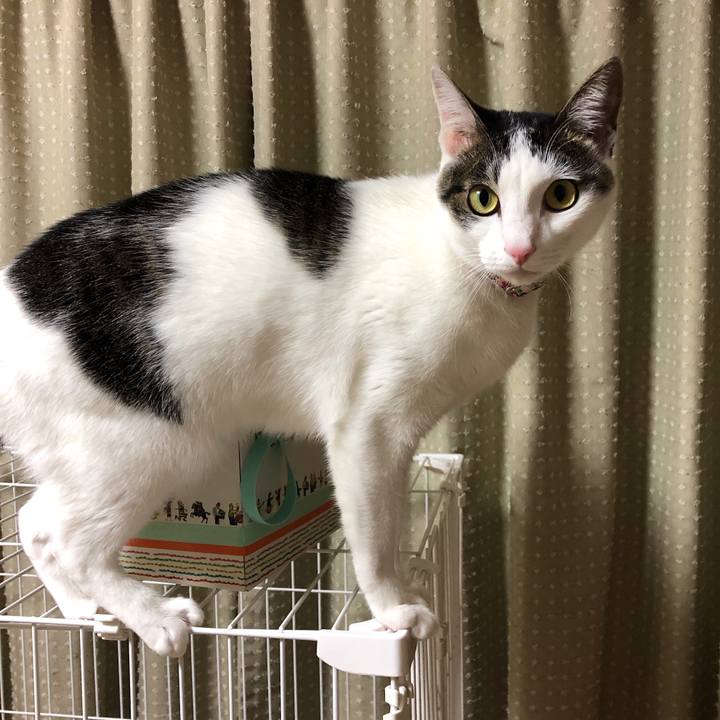 3b6cc497 2b7d 4761 ae35 46da9497f5af 1606307572342