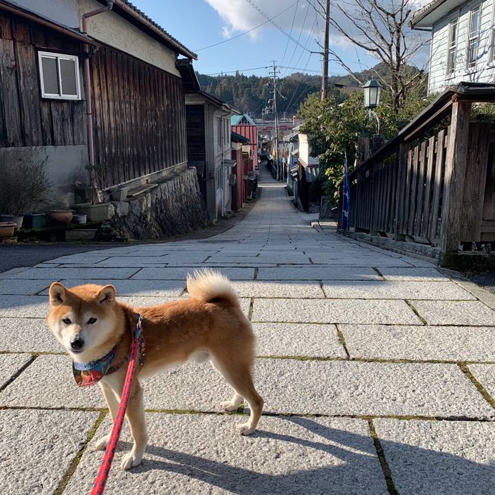 3b6cc6a3 e067 449d 8b33 6061f7930aab 1577177909883