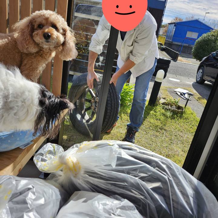 3b6cf79c 60ba 4203 a271 c59e8dcd8382 1763885240327