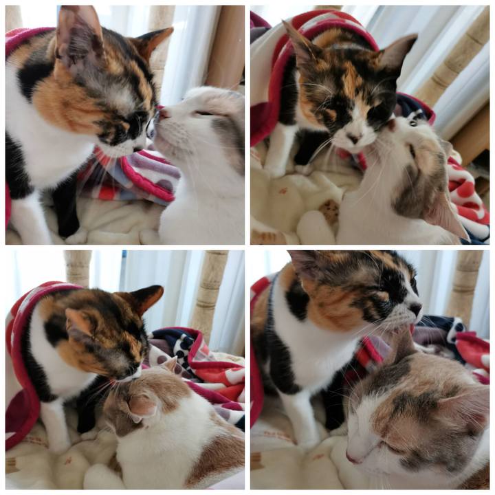 3b6d6258 f63b 49b9 b490 d8596030d4d7 1622017435804