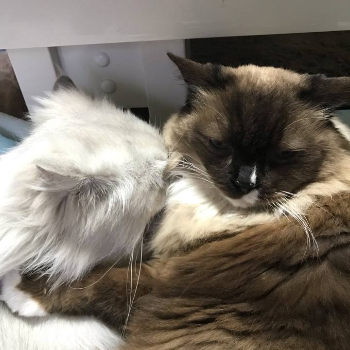 3b6d7f28 41ba 4863 8093 53a503c1daa1 1552788658579