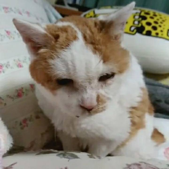 3b6dd648 0e0c 42cb ae36 5f70a55473bd 1617371857664