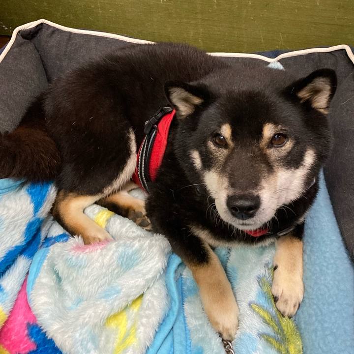 3b6de11e 1c8d 440f 90ba a3fdcec86235 1609301103233