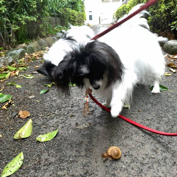 3b6dffcf 61b5 4986 9319 a9fefe7a15da 1560072890747