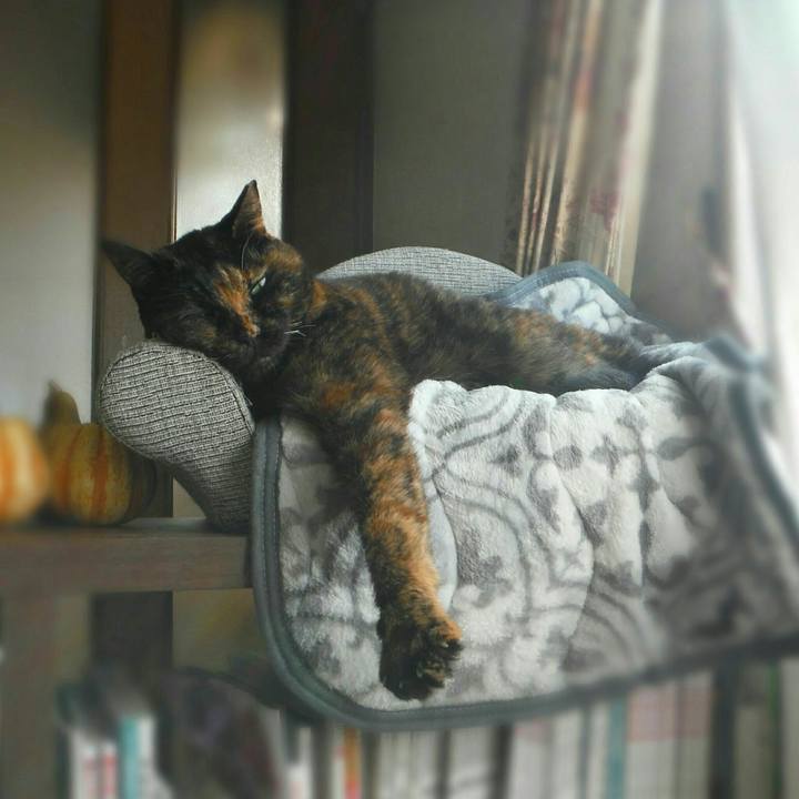 3b6e1559 307b 4129 8d43 958925a58828 1522655901458