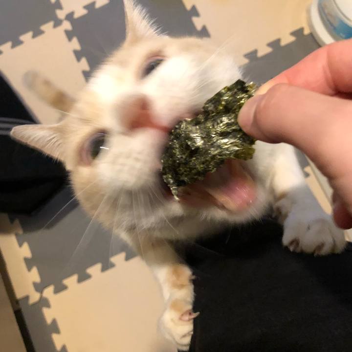 3b6e2c92 4d31 463d b7eb 061bc47c9c8f 1515757416151