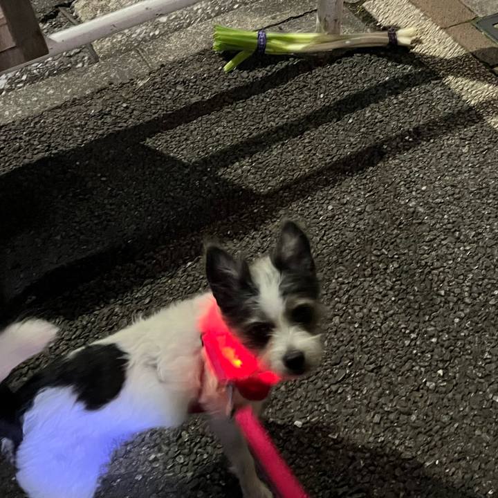 3b6e372c b112 4ceb bf98 cd274d6e9f9e 1762160178329