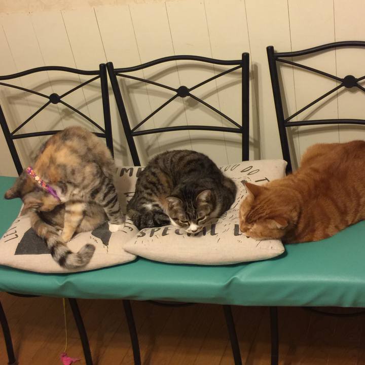 3b6e5532 4328 47f4 9f65 e98effafa19e 1547738739942