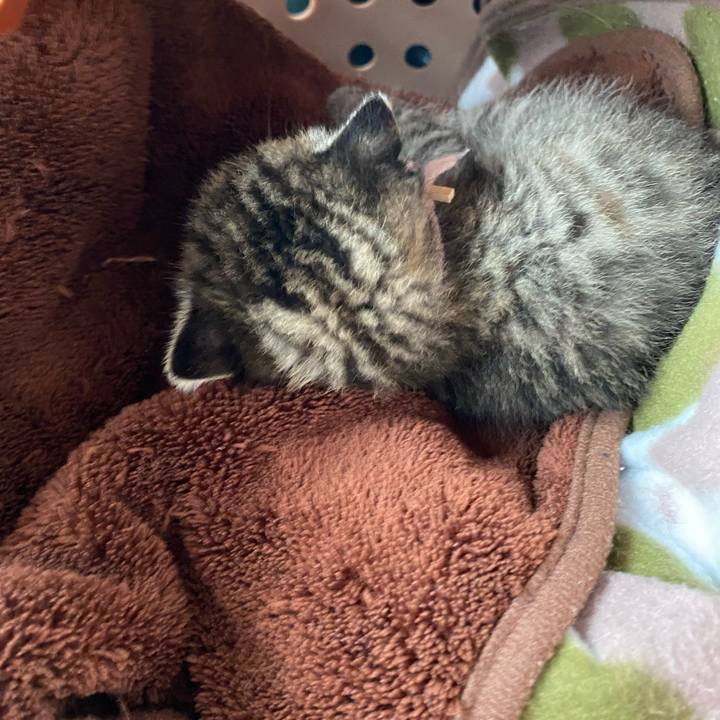 3b6e923e 473f 4bf6 af54 6cb0ce35d949 1636183633019