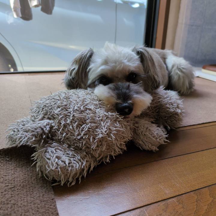 3b6edf31 eccc 4c8b 8276 7c5adf6b3e25 1759289050724