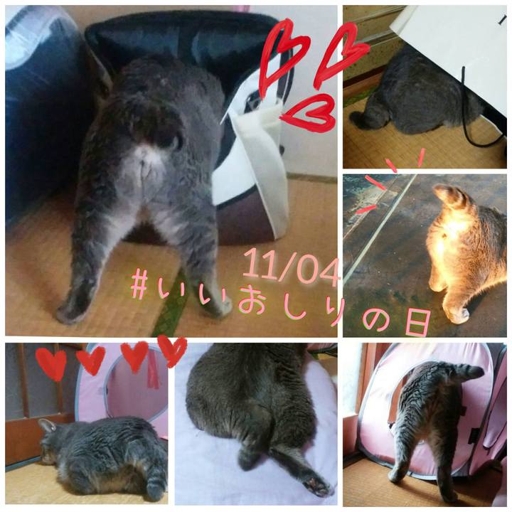 3b6f13a9 1a76 47dd b2c0 6623caef835f 1636005302816