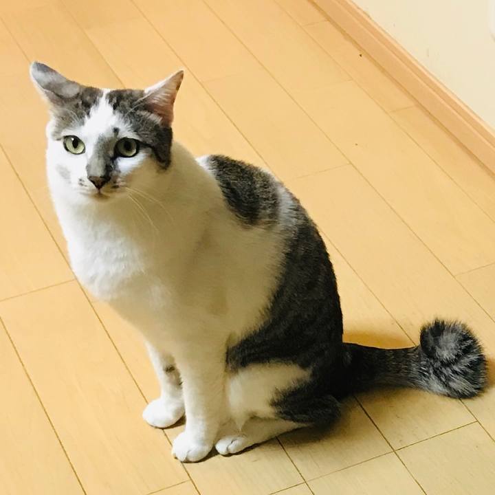 3b6f7e30 90ad 4a08 ba55 5788183ddefc 1580733304432