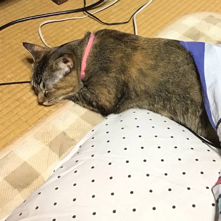 3b6f81e8 bfe8 4b1f 9a33 cc1c9b262472 1608196013908