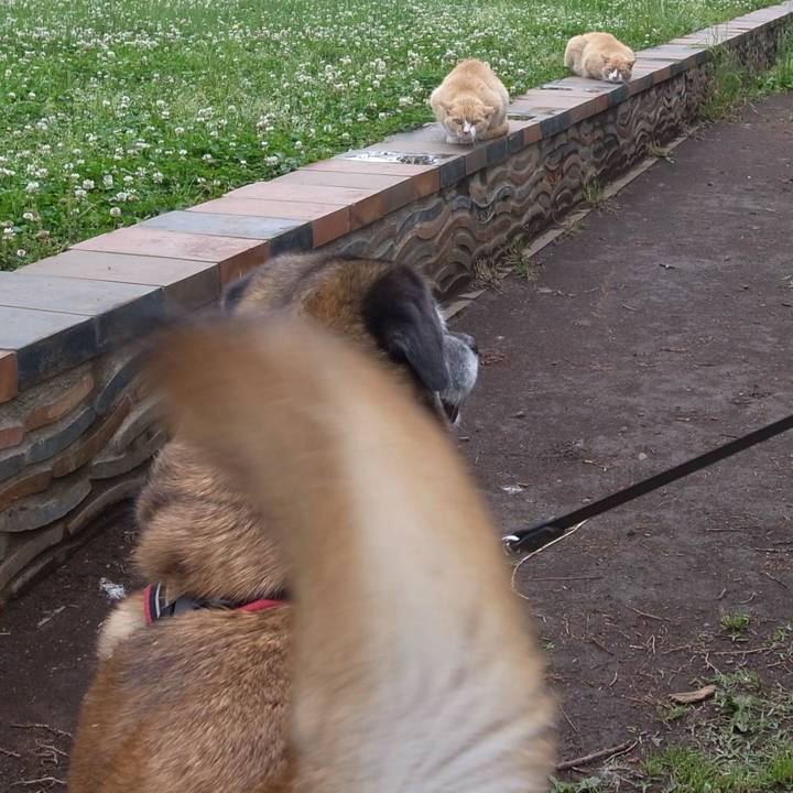 3b6f8bd7 db2e 4be0 ba1a 1d67d8e7d20e 1607905099616