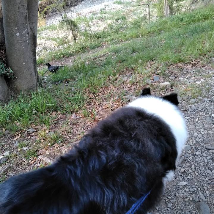 3b6f9bc0 d4f7 4b2d a903 56bdfaef9ba6 1555596596647