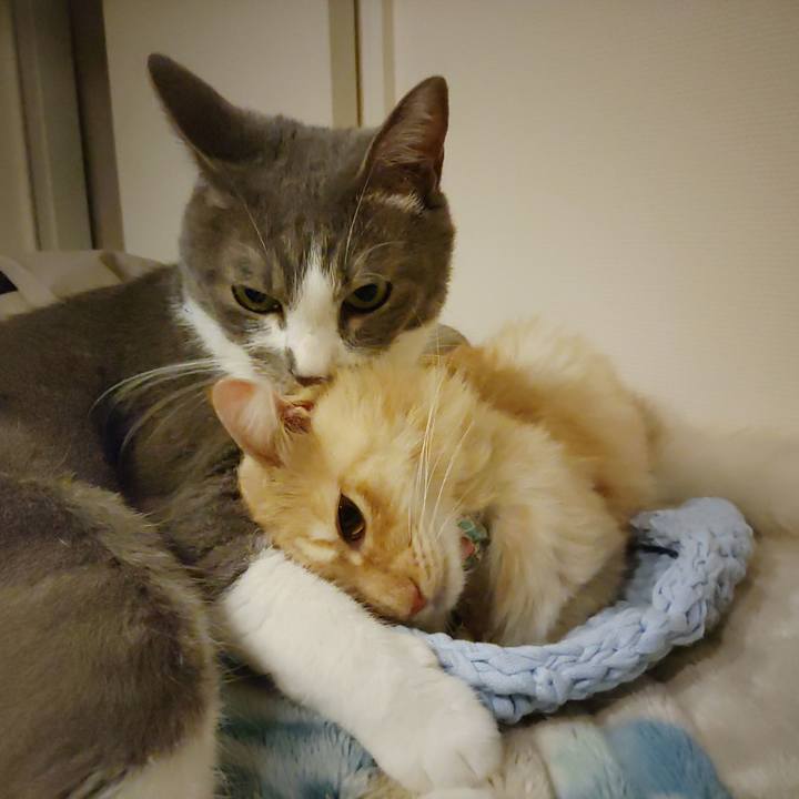 3b6ff20e ae5d 4b39 8cea 3fad91637314 1665498163230