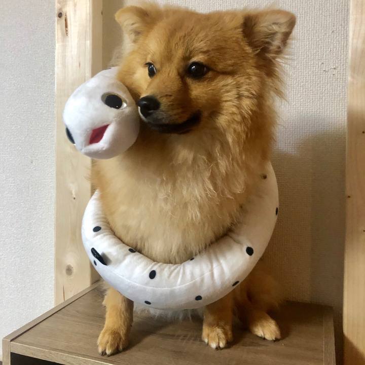 3b706822 8438 4d29 966a e72d7afe7d1f 1590670369015