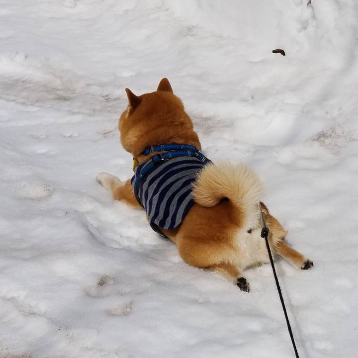 3b70c484 fbfb 41e2 b5a7 b16092e5adf3 1550805500794